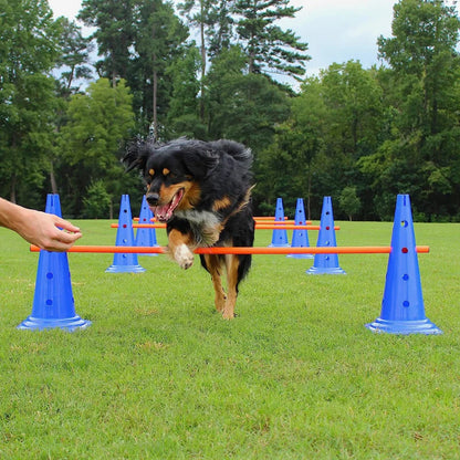 Dog Agility Training Set