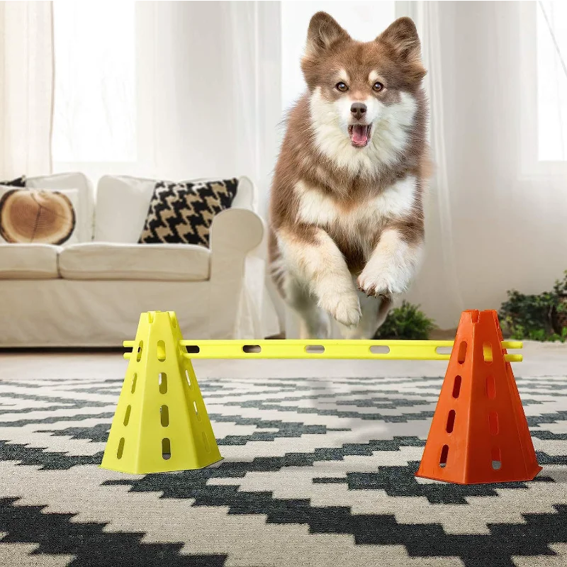 Dog Agility Training Set