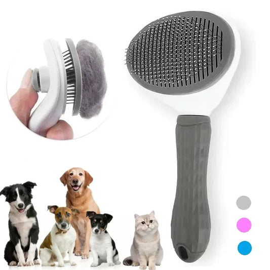 Dog Brush