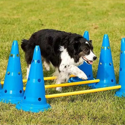 Dog Agility Training Set