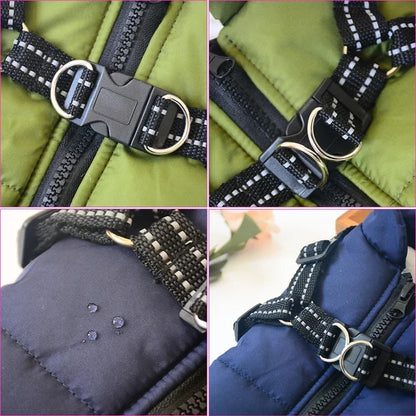 Waterproof Duo Jacket and Harness